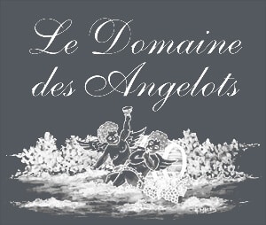 domaine-des-angelots-logo-gris